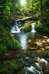 Wasserfall Ilsetall in der grünen Natur