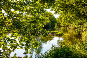 Green Approach to the Vipava River