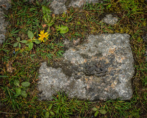 Kamień na drodze w okolicy miejscowości Miłków.