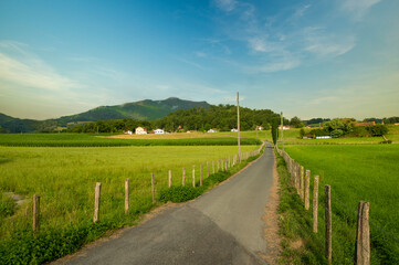Obraz premium The Camino de Santiago as it passes through Navarra