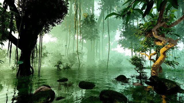 Tropical  swamp. Animation on the theme of nature and climate, ecology and vegetation, travel and territories.