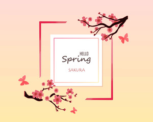 Hello spring with cherry blossom flower is the season of Japan for greeting card,invitation template, banner,poscard, background and label tag spring sale.