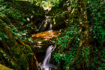 waterfall in the jungle