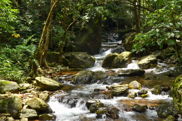 waterfall in the forest