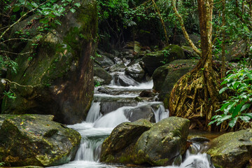 waterfall in the forest