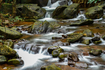 waterfall in the forest