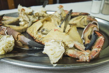 Delicious meat of grilled stone crab, sapateira