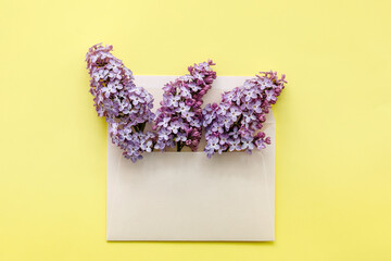 Lilac twigs in an envelope