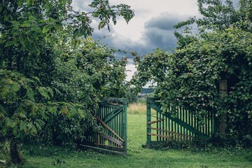 Open wooden green fence surrounded by green-leaved plants on a gloomy day
