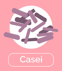 Obraz premium Casei bacteria for healthy digestion and good microflora. Bacterium with beneficiary effect. Probiotics helping immune system, immunity booster. Microorganisms with text, vector in flat style