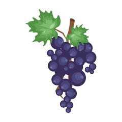 Grapes