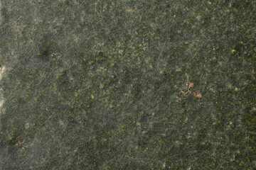 Seamless green abstract dirty textured background of marble tile. Scratch lines over background. Noise and grain. Exterior building structure backdrop. Industry material natural concept.