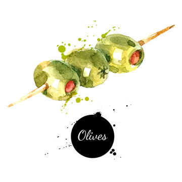 Hand drawn sketch watercolor skewer of olives. Vector isolated food illustration