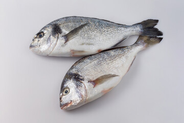 Couple of fresh dorado on a white background flat lay
