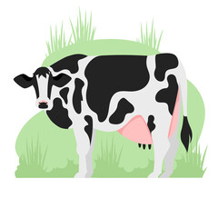 cow. cattle. vector image of a black and white cow. farming