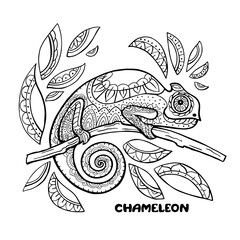 Chameleon coloring book vector illustration. Anti-stress coloring pages. Black and white lines.