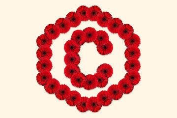 Letter C Daisy flower alphabet Logo with hexagon shape on isolated background. Decorative Floral Letter