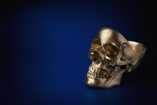 Golden skull on a blue background. Copy space for a text. Front view