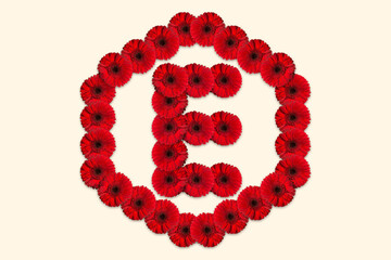 Letter E Daisy flower alphabet Logo with hexagon shape on isolated background. Decorative Floral Letter