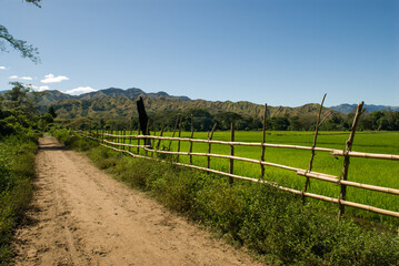 Rizière dans la vallée de la Sambirano - Madagascar.