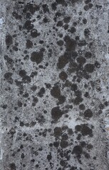 Obraz premium texture of stone