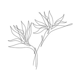 Minimal tropical art. Tropical monstera leaves silhouette and line art on pastel beige background