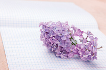 Lilac flowers on a squared exercise-book