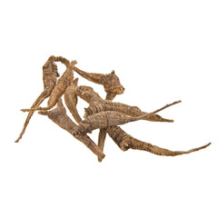 Ginseng or Dried Ginseng on a background new.