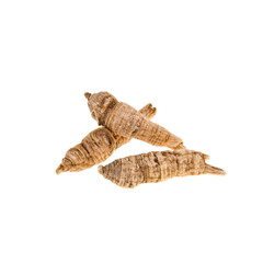 Ginseng or Dried Ginseng on a background new.