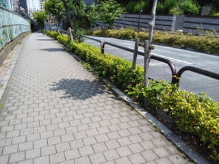 歩道