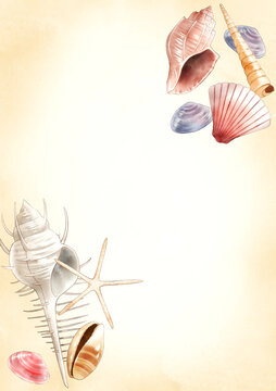 ホネ貝 Images Browse 87 Stock Photos Vectors And Video Adobe Stock