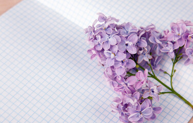 Lilac flowers on a squared exercise-book