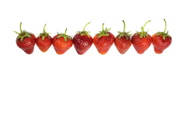 Strawberries in a row on a white background. Copy space