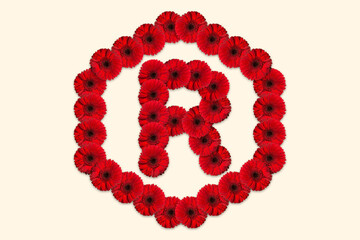 Letter R Daisy flower alphabet Logo with hexagon shape on isolated background. Decorative Floral Letter