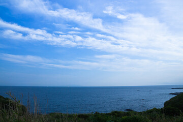 三浦半島、春の海。