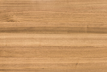 Fototapeta premium background of Walnut wood surface
