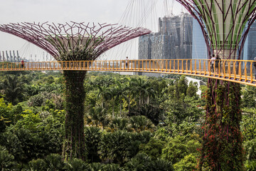 Botanical garden, Gardens by the Bay in Singapore.