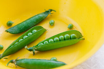 green peas pods on a yellow plate
