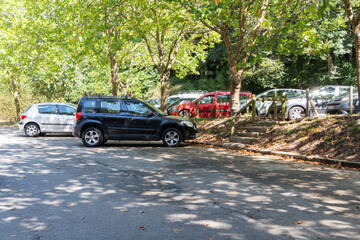 Cars parked under trees in a parking