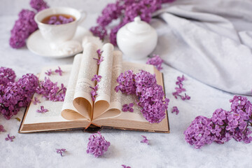 Fototapeta na wymiar folded pages of an old French book with branches of blooming lilac and flower petals on a gray background