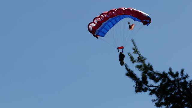 A smoke jumper is seen parachuting with a group of other smoke jumpers falling into the sage brush.