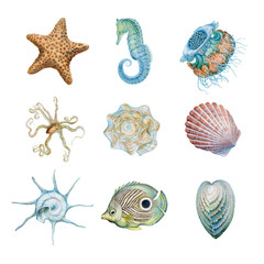 set of watercolor images of marine animals