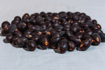 Seed
