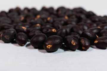 Seed