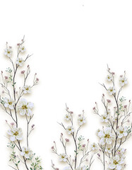 watercolor painting of leaves and flower, on white background