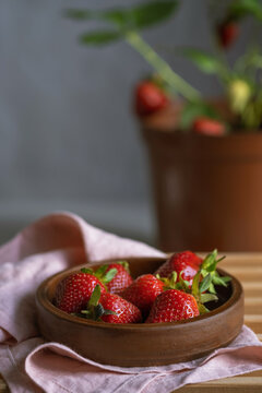 Fresh strawberries in a clay plate. Potted house growing concept. Mini organic garden. Actually grown berry at home.