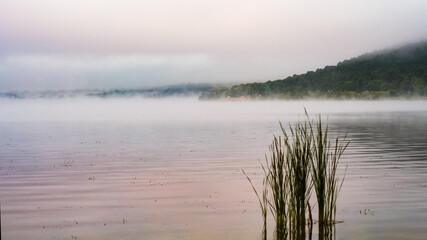 foggy landscape overlooking the river