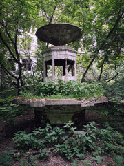 abandoned fountain overgrown with moss and plants, moldy