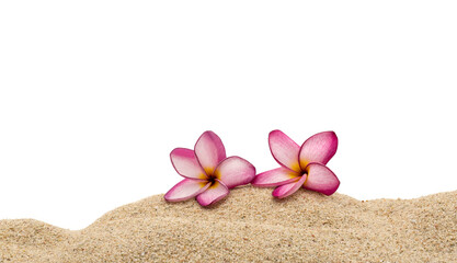 Fototapeta na wymiar Pink yellow plumeria flowers on sand dune background