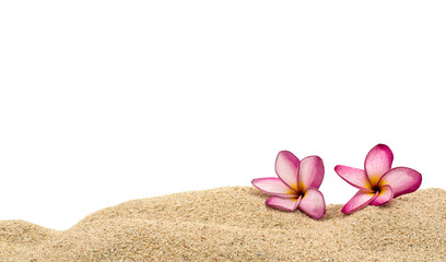 Pink yellow plumeria flowers on sand dune background